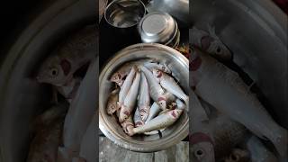 মাছ রান্না করা 🙎#minivlog #youtubeshorts #tiktok #streetfood