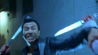 Donnie Yen vs. Wu Jing Best Fight Scene