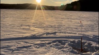 Maine ice fishing salmon and splake