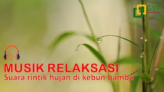 Relaksasi Pagi:Terapi Gemercik Air Hujan Membantu Pikiran Rileks dan Santai, Musik Alam, Terapi Alam