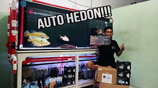 UNBOXING Prodak-prodak Mayin Internasional || Kita Upgrade Tank Predator 2 meter lagi !!Next review