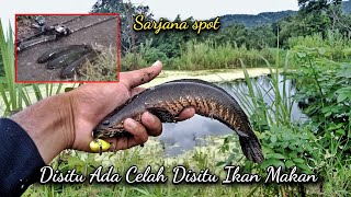 Disitu ada celah disitu ikan makan || Casting ikan gabus sarjana spot