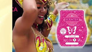 Carnival Scentsy Wax Collection 2024