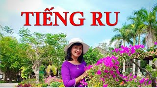 Tiếng Ru, sáng tác Austin Ngo ( kênh Austin Ngo Official)