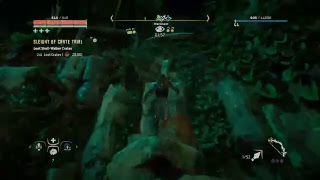 WooPatz29- Horizon Zero Dawn stream