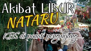 Jalan - Jalan di Kebun Binatang Surabaya || KBS JATIM || Wisata Jawa Timur | akangjalanjalan