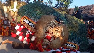 GAJAH MADA DADAK MERAK REOG PONOROGO TERBESAR TUTUP SURO#dadakmerak #reog #terbesar #terbesardidunia