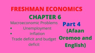 Freshman Economics(Chapter 6):Part 4: Macroeconomic problems,Budget Deficit and Trade Deficit