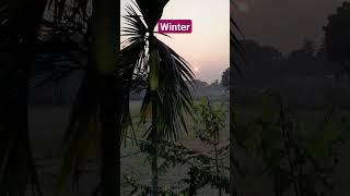 winter in village #shorts #nature #winter #shortvideo #village