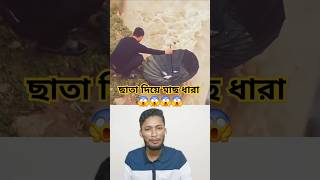 ছাতা দিয়ে মাছ ধারা #technique #fishing #shorts #tiktok