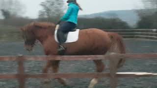 Albert and Carole Veteran Jan 19 age 24yrs young