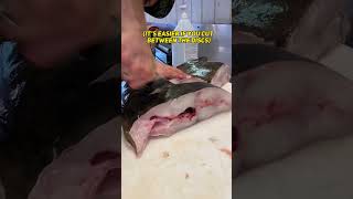 How to get a High Yield Cutting Fresh Halibut Fillets