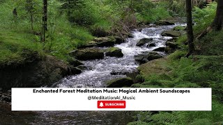 Enchanted Forest Meditation Music: Magical Ambient Soundscapes | 20 Mins Meditation