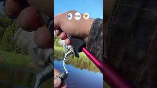 Голавль на микро колебалку #рыбалка #fishing #колебалка