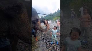 Elephant vs. Baby Girl #shorts