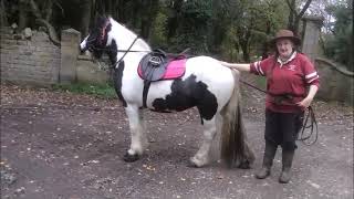 Allison McGinty Uses Cavallo Hoof Boots to Help Apache Come Through Laminitis