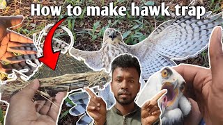 How to make special balchatri trap | how to make hawk trap | bird trap