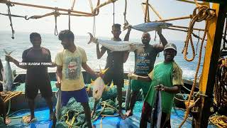 fishing in the sea