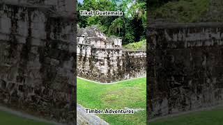 Tikal your fancy at Guatemala #tikol #history #explore #indigenouspeople #viralvideos #viralreels