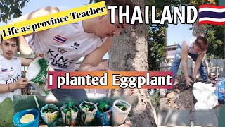 I planted an eggplant🍆 | My Life as a province Teacher in Thailand🇹🇭