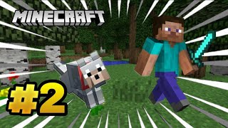 THE ADVENTURE CONTINUE IN MINECRAFT #2