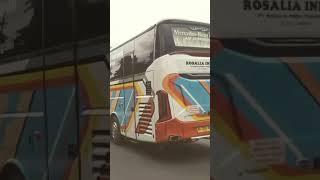 Bis ROSALIA INDAH legacy SR3 | Jogja - Purworejo - Bitung #bismaniacomunity #videoshort