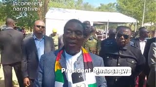 Chief Ndiweni destroys Mnangagwa grandfather narrative