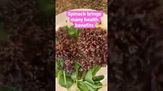 Avocado with Quinoa | Green food | Detox your body