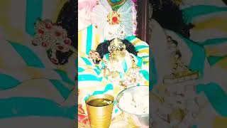 ❤️radhe krishna ❤️ #shorts #laddugopal #shortsvideo #radhakrishna #vrindavan #youtubeshorts