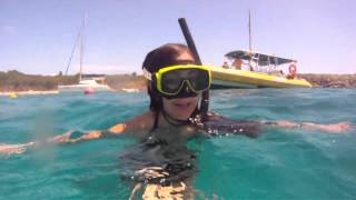 St. Thomas | Snorkeling with Sea Turtles