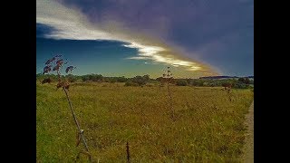 pietreTagliate - Bosco di Bitonto