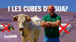 😨 I les Cubes d'Aigua? Els Ramaders Valencians Estan Desesperats! 🚨