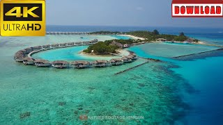 🎁4K Tropical island resort hotel with white sand palm trees and turquoise | DAILY NATURE FOOTAGE