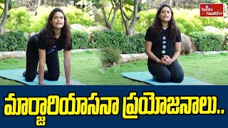 Yoga Benefits : మార్జారియాసనా ప్రయోజనాలు..| hmtv healthplus