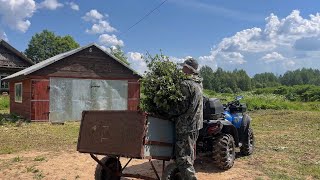 Harvesting wreaths for a bathhouse in a Russian village. A quiet life in the Russian countryside.