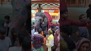 हम गये वृंदावन घूमने Krishna की नगरी🙏🙏🫶🫶 #viral #shortvideo