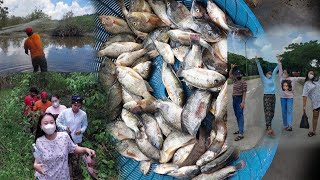 Orang kampung MENJALA IKAN di Rawa² belakang Rumah|| Ikan segar