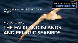 Photographing The Falkland Islands and Pelagic Seabirds on an Antarctic Expedition || Part 1