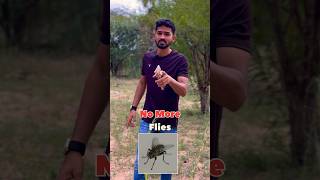 No more flies #shorts #viral #tips #facts #trending #short #latest