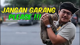 SERAM ! KUCING GARANG BILA BAWAK KLINIK