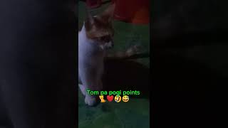 My Tomtom pa pagi points 🐈❤️💙😅🤣😂, short video