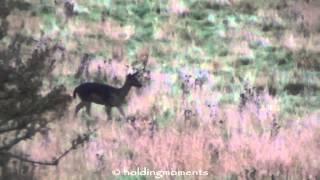 Around Ivinghoe Beacon Sunday 7th September 2014