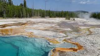 Yellowstone NP. West Thumb Geyser