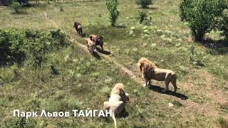 Парк Львов ТАЙГАН.Крым ,Белогорск! Park Lviv TAIGAN. Crimea, Belogorsk!