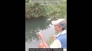 Mancing Liar Serasa Dikolam / Wild Fishing Feels in a Fish Pond #Shorts