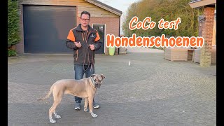 Hondenschoenen testen met CoCo