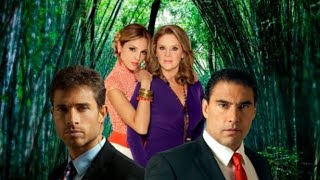 Amores verdaderos (2012) Todas las cachetadas [Televisa]