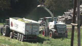 Mais 2023 LU  Hannes Hauptmann  Claas Jaguar 970 & Orbis 750 mit verschiedenen Abfahrern in Bezirk S