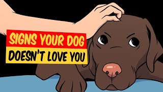 10 Signs Your Dog Doesn't Love You