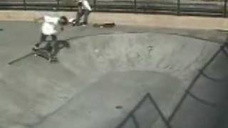 Santa Cruz Skatepark